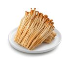brightfarms Golden Enoki Mushrooms (1 Pack) Approx. 200g
