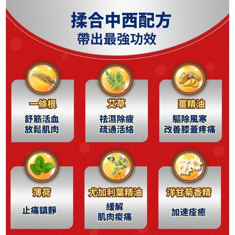 Healthall Chinese Herbal Pain Relief Patch (Ice Cooling) 10pcs