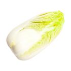 Brightfarms Chinese Cabbage (1 Pack) Approx. 320g
