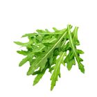 Italy / Europe Rocket (1 Pack) Approx. 125g