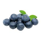 China Jumbo Blueberries (18mm+) 200g [P] - 020758512