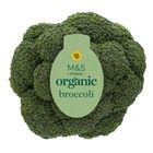 [Shelf life: 2 days or below] Organic Broccoli 350g 127844