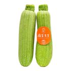 蔬菜先生 包裝翠玉瓜 (中國) (1磅) 1包