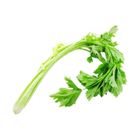 brightfarms Chinese Celery (1 Pack) Approx. 150g