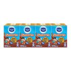 Dutch Lady Smart+ Chocolate Milk Beverage 4 x 125ml