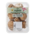 [Shelf life: 2 days or below] Organic Chestnut Mushrooms 250g 00309837