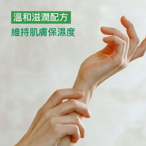 滴露 泡沬殺菌潔手液 滋潤蘆薈 250亳升