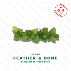 Herbs Mint Pack 20g