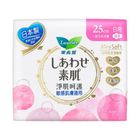 Laurier Airy Soft US Day 25cm 17 Pieces