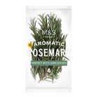 [Shelf life: 2 days or below] Rosemary 734899