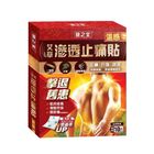 Healthall Chinese Herbal Pain Relief Patch (Hot Warming) 10pcs