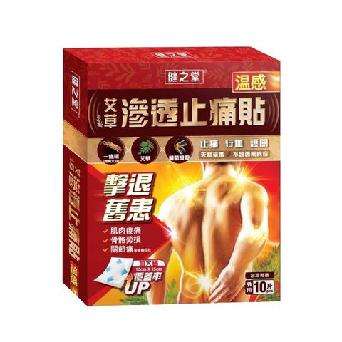 Healthall Chinese Herbal Pain Relief Patch (Hot Warming) 10pcs