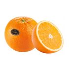 America PureSpect High Brix Orange 1pc