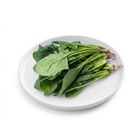 Brightfarms 菠菜苗 (1包) 約250克