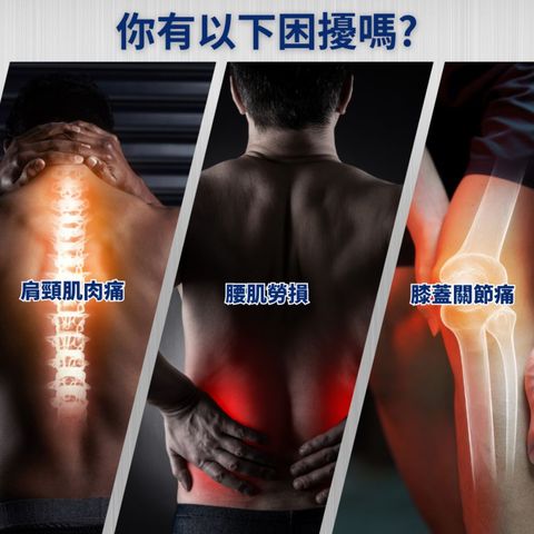 Healthall Chinese Herbal Pain Relief Patch (Ice Cooling) 10pcs