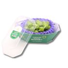 China Shine Muscat Grape (1 pack approx. 500g)