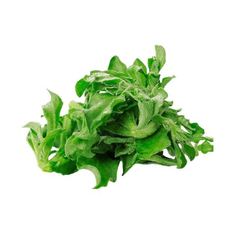 Brightfarms Ice Plant 1 Pack Approx. 500g