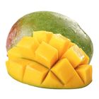 Rainbow Keitt Mango 1 Piece [Renewal / Old Packaging Random Delivery]