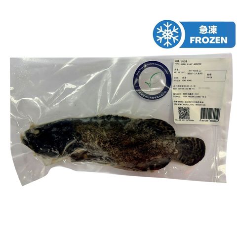 香港現代化海產養殖 沙巴躉 約301克 - 400克