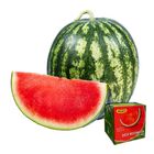 Farm Fresh 8424 西瓜 1 Each [新舊包裝隨機發貨]