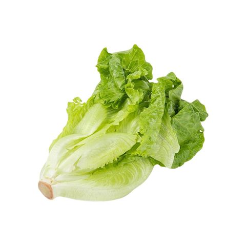 泰國 Tropical Premium 有機牛油生菜 150克