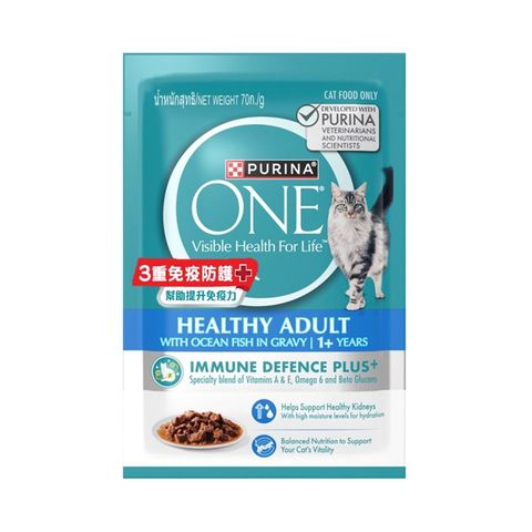 One Adult Ocean Fish Pouch 70g
