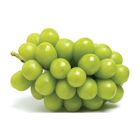 Korean Shine Muscat 1 Pack [P] - 20138079