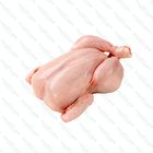 Turk's 紐西蘭粟飼全鷄 1.5公斤