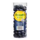 Driscoll's Blueberry Jumbo Tube 1 Pack