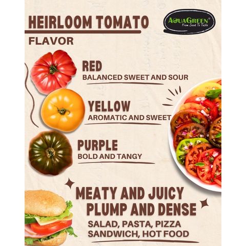 Aqua Green Assorted Heirloom Tomato 1 Pack