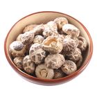 Mini Mushroom Bag 303g (81027246)