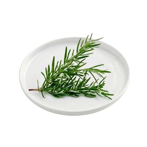 Kenya Rosemary (1 Pack) Approx. 20g