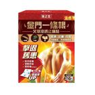 Healthall Chinese Herbal Pain Relief Patch (Hot Warming) 10pcs