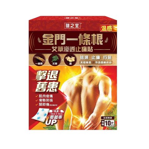 Healthall Chinese Herbal Pain Relief Patch (Hot Warming) 10pcs