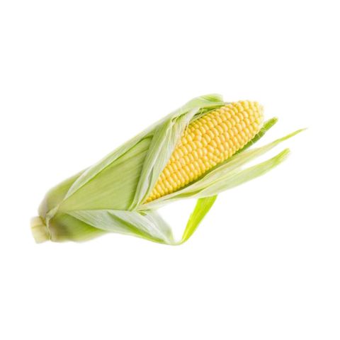 Brightfarms Sweet Corn 1 Piece