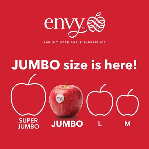 New Zealand/USA Jumbo Envy Apple (1pc approx. 230-260g)