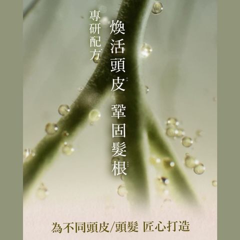 髮の料理 柔潤修護 生機柔光 精華油 40毫升