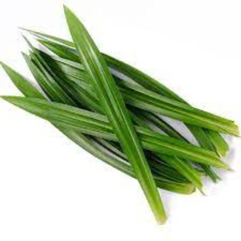 Thailand Tropical Premium Pandan Leaves 50g