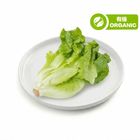 Thailand Tropical Premium Organic Butter Lettuce 150g