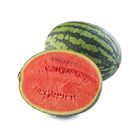 China Watermelon 1pc approx. 2500g