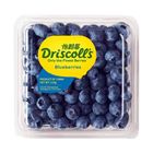 Driscoll's - 珍寶藍莓 1盒 約200克 [新舊包裝隨機發貨]