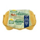 Sunny Queen Organic Free Range Egg (Large) 6 Pieces