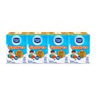 Dutch Lady Smart+ Milk Beverage 4 x 125ml