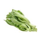 Brightfarms Brassica juncea 1 Pack approx. 450g