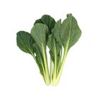Japan Mustard Spinach (Komatsuna) Approx. 200g (packaging will be shipped out randomly)