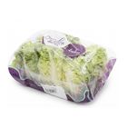 Spain Baby Lettuce (Little Gem) 6 pieces (packaging will be shipped out randomly)