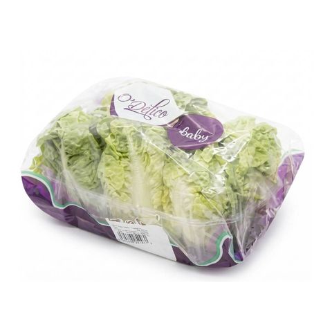 Spain Baby Lettuce (Little Gem) 6 pieces (packaging will be shipped out randomly)