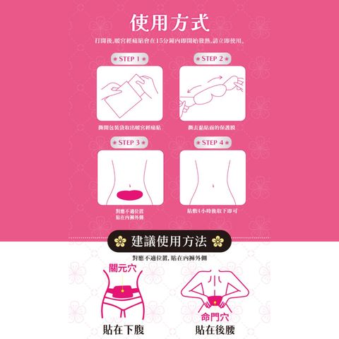 Healthall Heat & Herbal Therapy Patch (Menstrual Pain) 4 Pieces