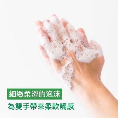 滴露 泡沬殺菌潔手液 滋潤蘆薈 250亳升