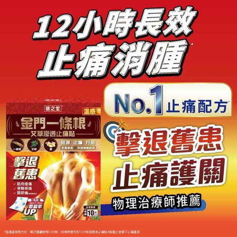 Healthall Chinese Herbal Pain Relief Patch (Hot Warming) 10pcs